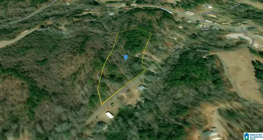 209 DEPOT AVENUE, Jacksons Gap, AL 36861 - Image #2