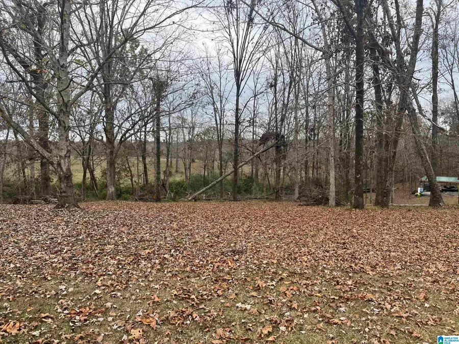 15923 LAKE HILLS DRIVE, Northport, AL 35475 - Image #3