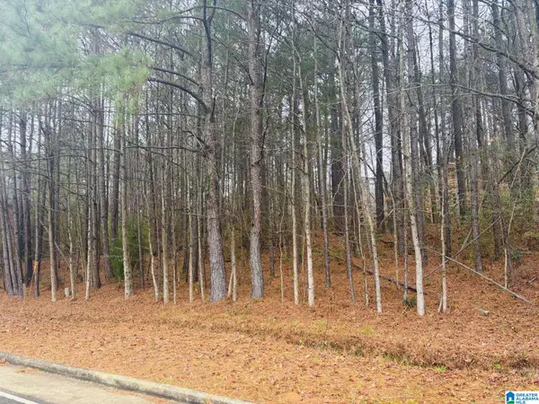 3874 BELMONT ROAD, Irondale, AL 35210