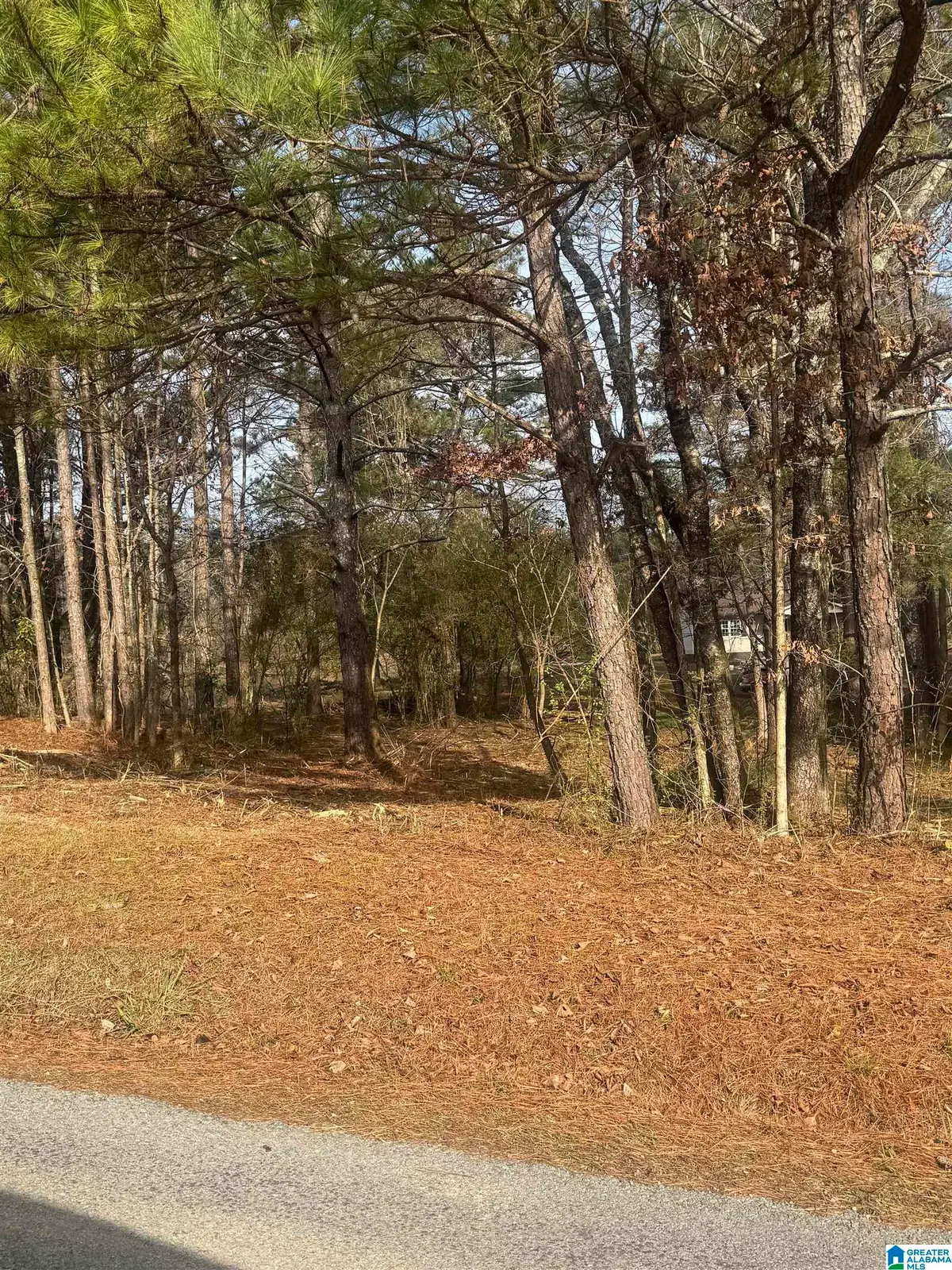 619 SKYVIEW LAKE ROAD, Warrior, AL 35180 - Image #1