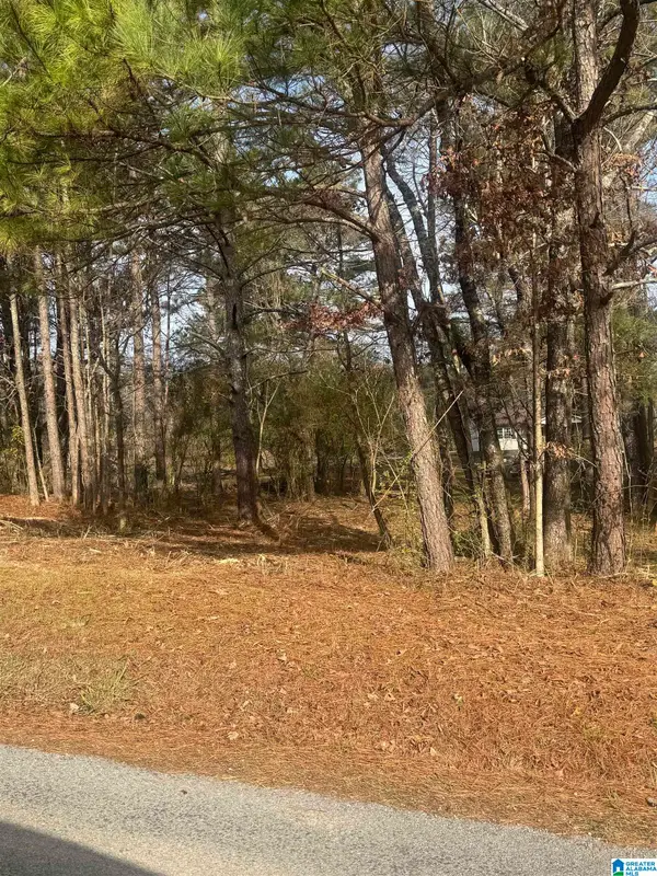 619 SKYVIEW LAKE ROAD, Warrior, AL 35180