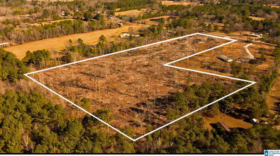 4565 CEDAR SPRINGS ROAD, Jacksonville, AL 36265 - Image #3