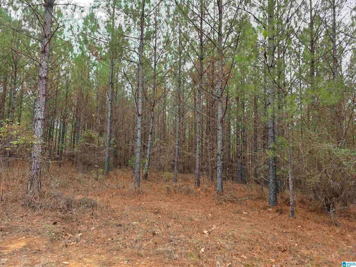 12B HIGHWAY 69, Chelsea, AL 35043 - Image #1