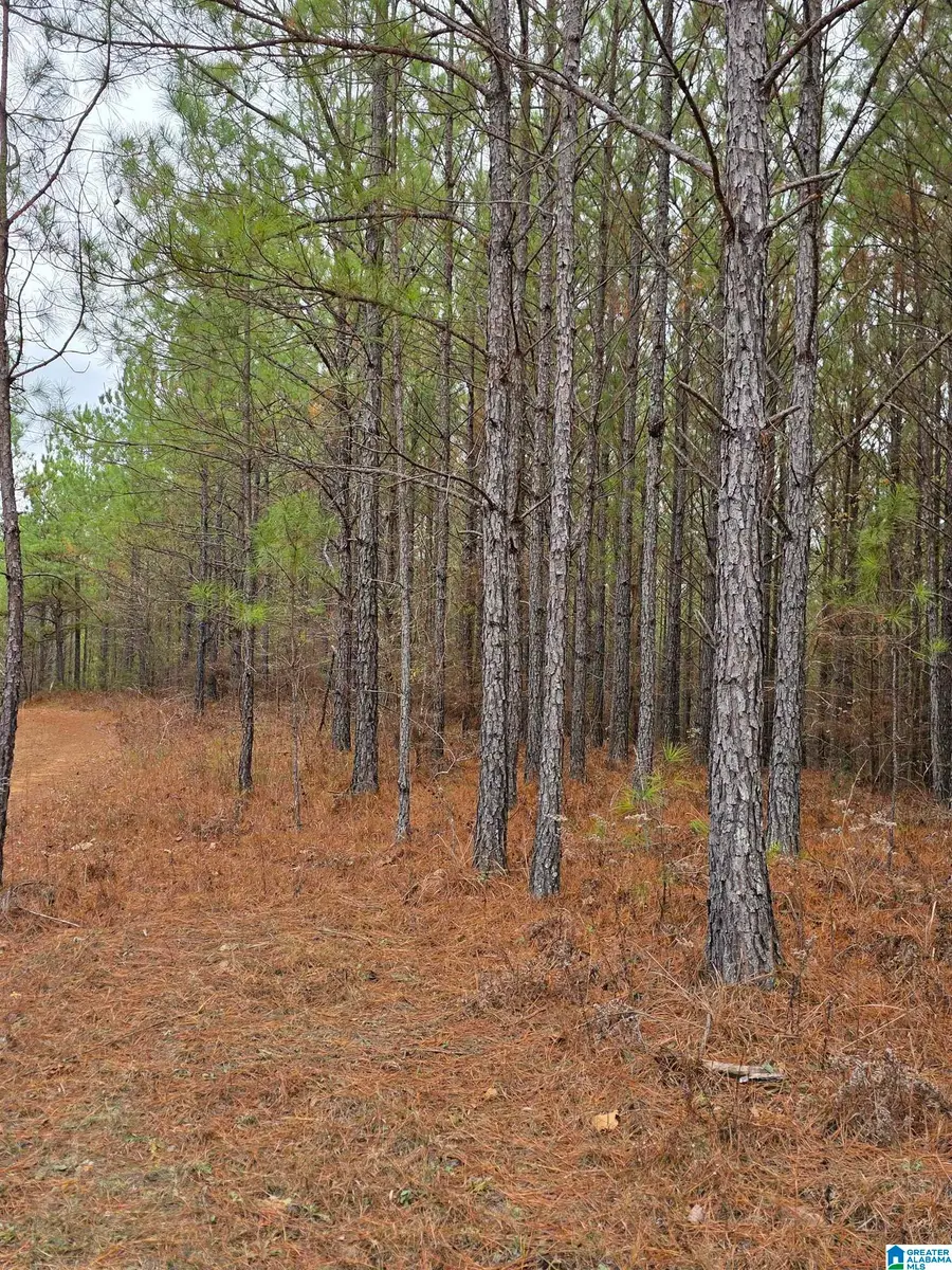 12B HIGHWAY 69, Chelsea, AL 35043 - Image #2