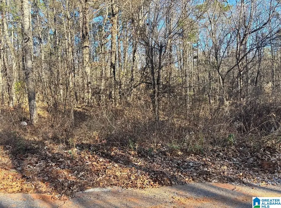 449 DAVIS STREET, Wilsonville, AL 35186 - Image #2