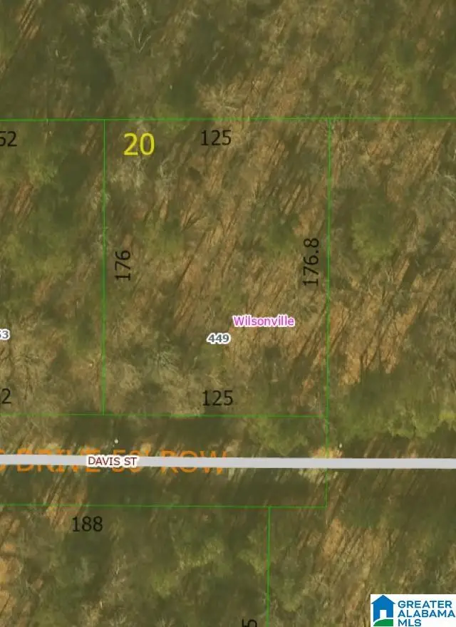 449 DAVIS STREET, Wilsonville, AL 35186 - Image #3