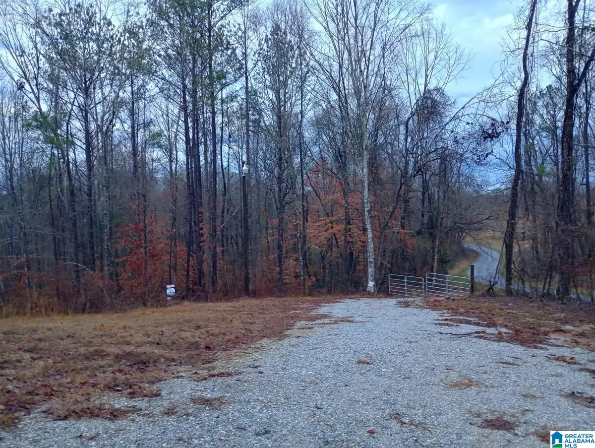 310 FREDRIC FERRY ROAD, Daviston, AL 36256 - Image #1