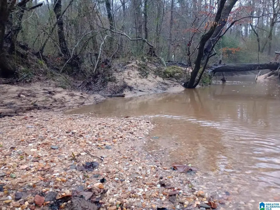 310 FREDRIC FERRY ROAD, Daviston, AL 36256 - Image #2