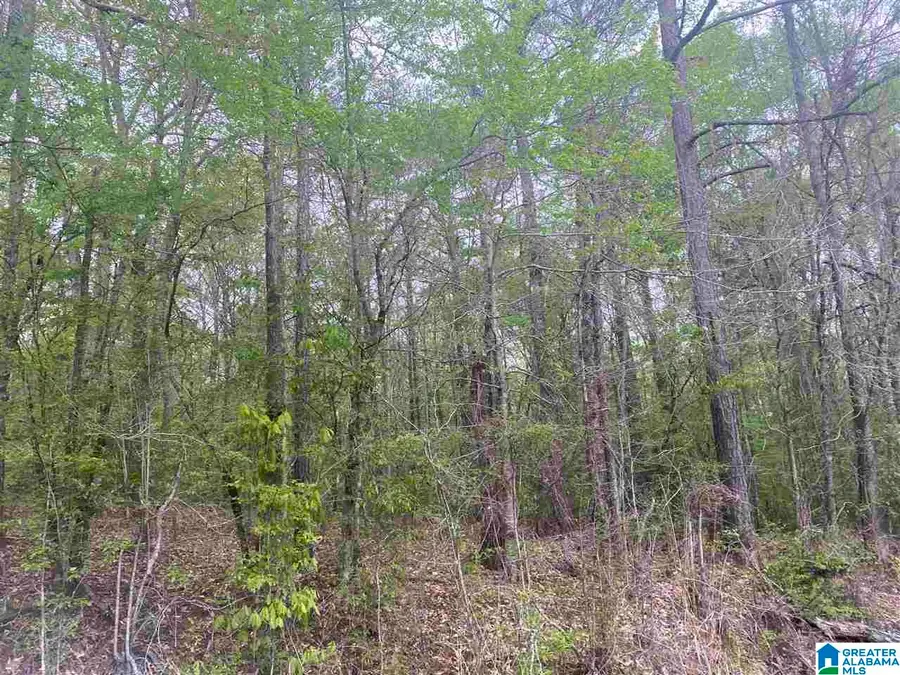 310 FREDRIC FERRY ROAD, Daviston, AL 36256 - Image #3