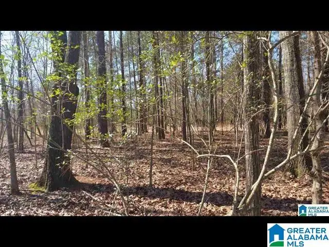 0 MORNING GLORY CIRCLE, Talladega, AL 35160 - Image #2