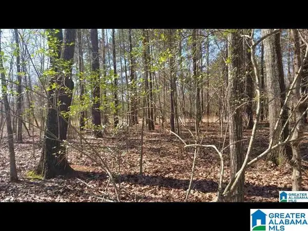 0 MORNING GLORY CIRCLE, Talladega, AL 35160