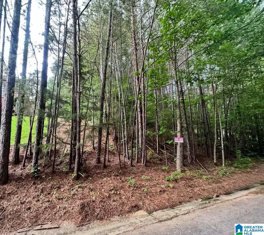 5709 BENT CREEK DRIVE, Pinson, AL 35126 - Image #2