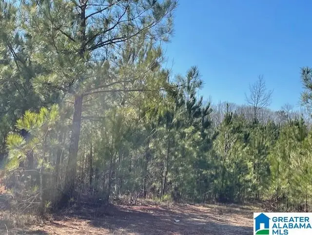 SANSING CIRCLE, Woodstock, AL 35188 - Image #3