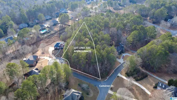 200 CAMERON CIRCLE, Chelsea, AL 35043