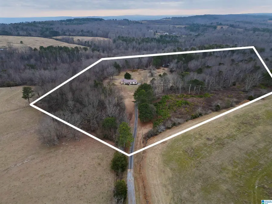 560 PHILLIPS DRIVE, Oneonta, AL 35121 - Image #3