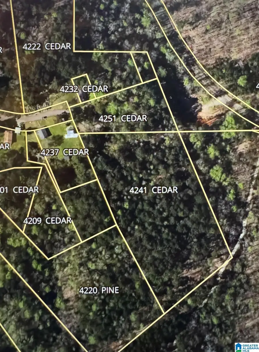 4251 CEDAR STREET, Birmingham, AL 35210 - Image #3