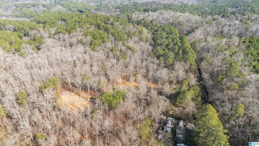 7019 GROUNDHOG ROAD, Morris, AL 35116 - Image #3