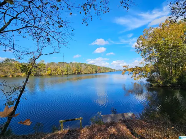 14536 PLANT ROAD, Alpine, AL 35014