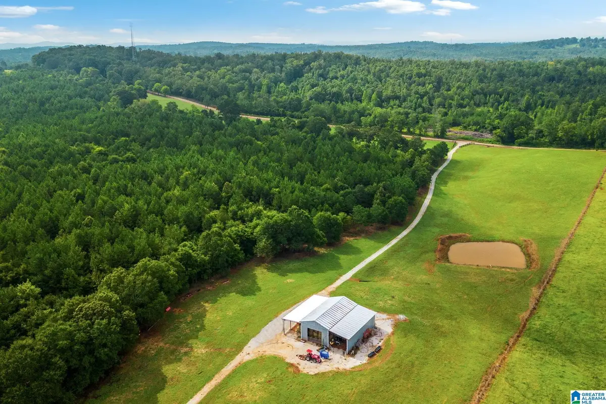 1015 SAINT MARY ROAD, Lincoln, AL 35096 - Image #1