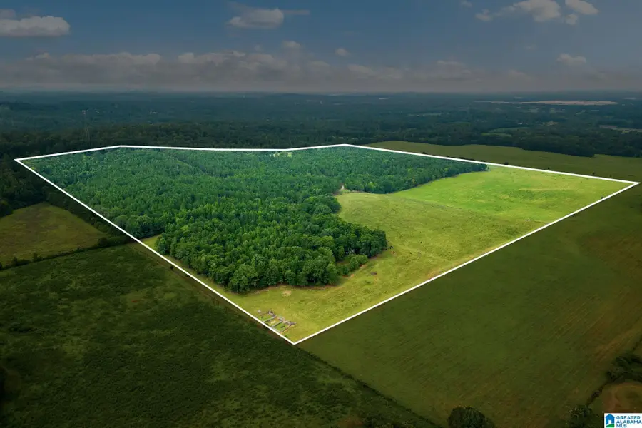 1015 SAINT MARY ROAD, Lincoln, AL 35096 - Image #2