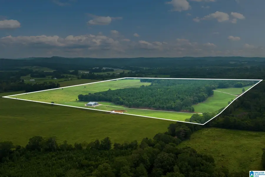 1015 SAINT MARY ROAD, Lincoln, AL 35096 - Image #3