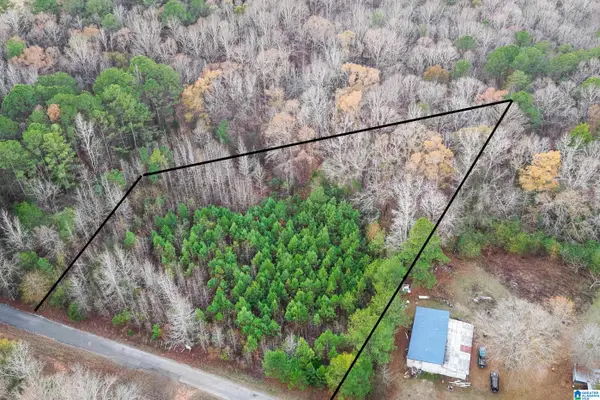 1830 PINE TREE ROAD, Centreville, AL 35042