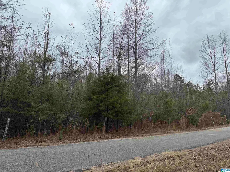 1830 PINE TREE ROAD, Centreville, AL 35042 - Image #2