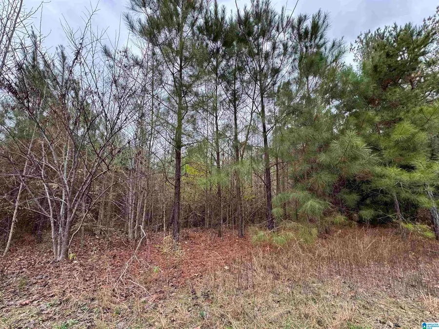 1830 PINE TREE ROAD, Centreville, AL 35042 - Image #3