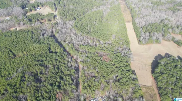 2550 CREEL ROAD, Morris, AL 35116