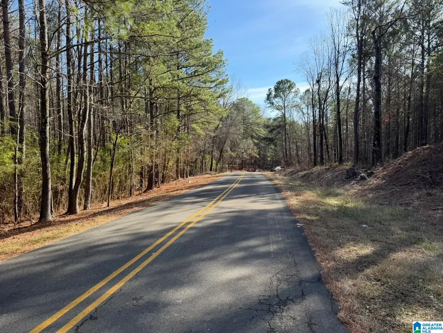 2550 CREEL ROAD, Morris, AL 35116 - Image #3