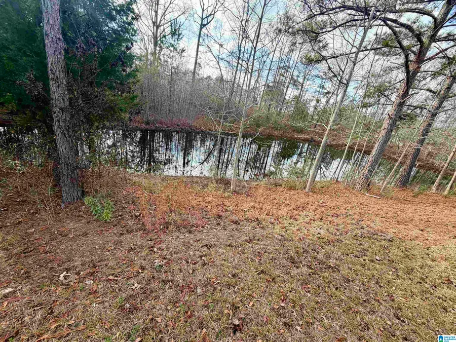 3719 COUNTY ROAD 32, Clanton, AL 35046 - Image #2