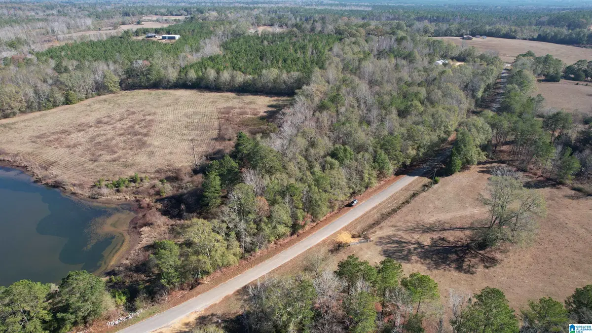0 WILKERSON ROAD, Georgiana, AL 36033 - Image #1