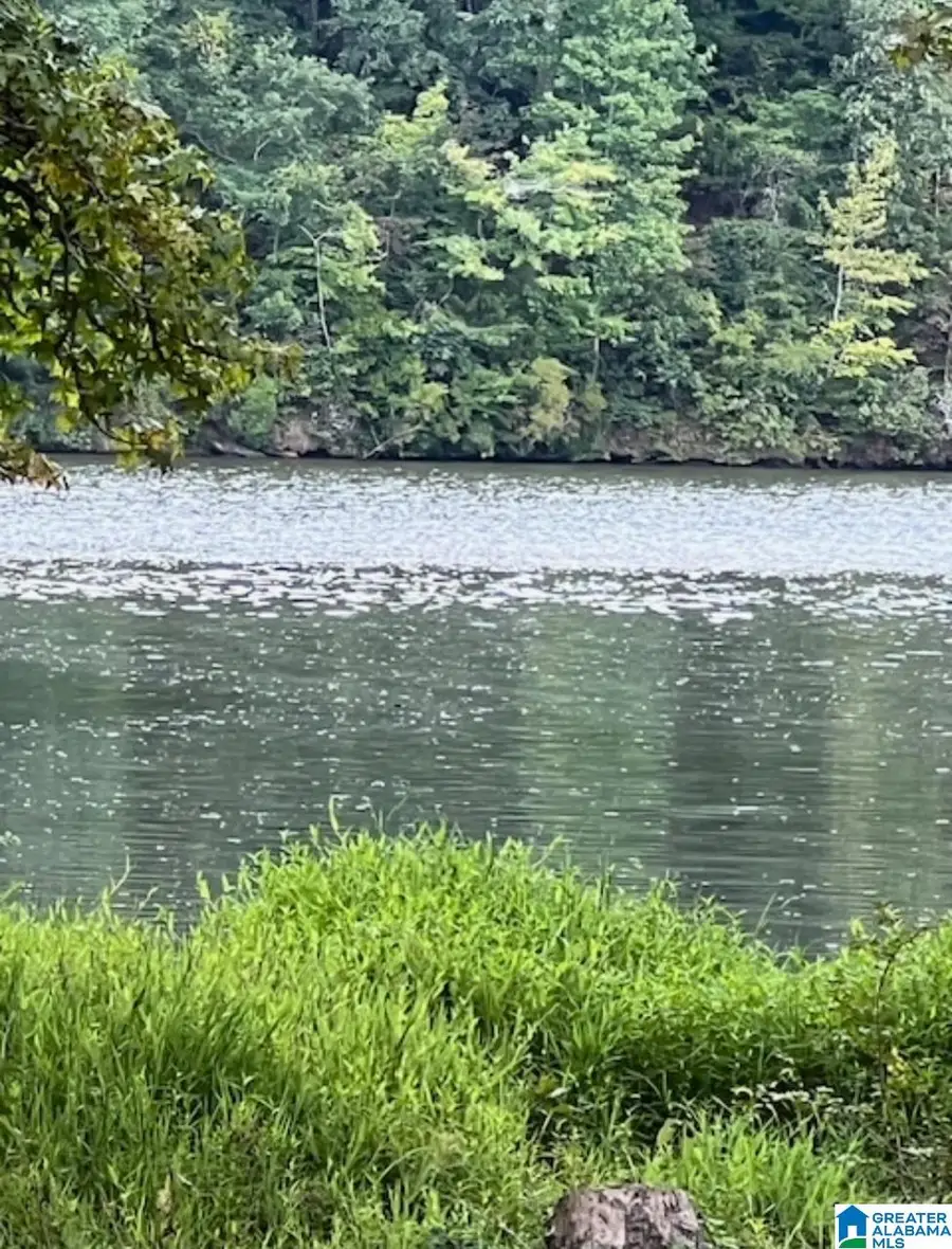 0 WARD HAVEN DRIVE, Wedowee, AL 36278 - Image #2