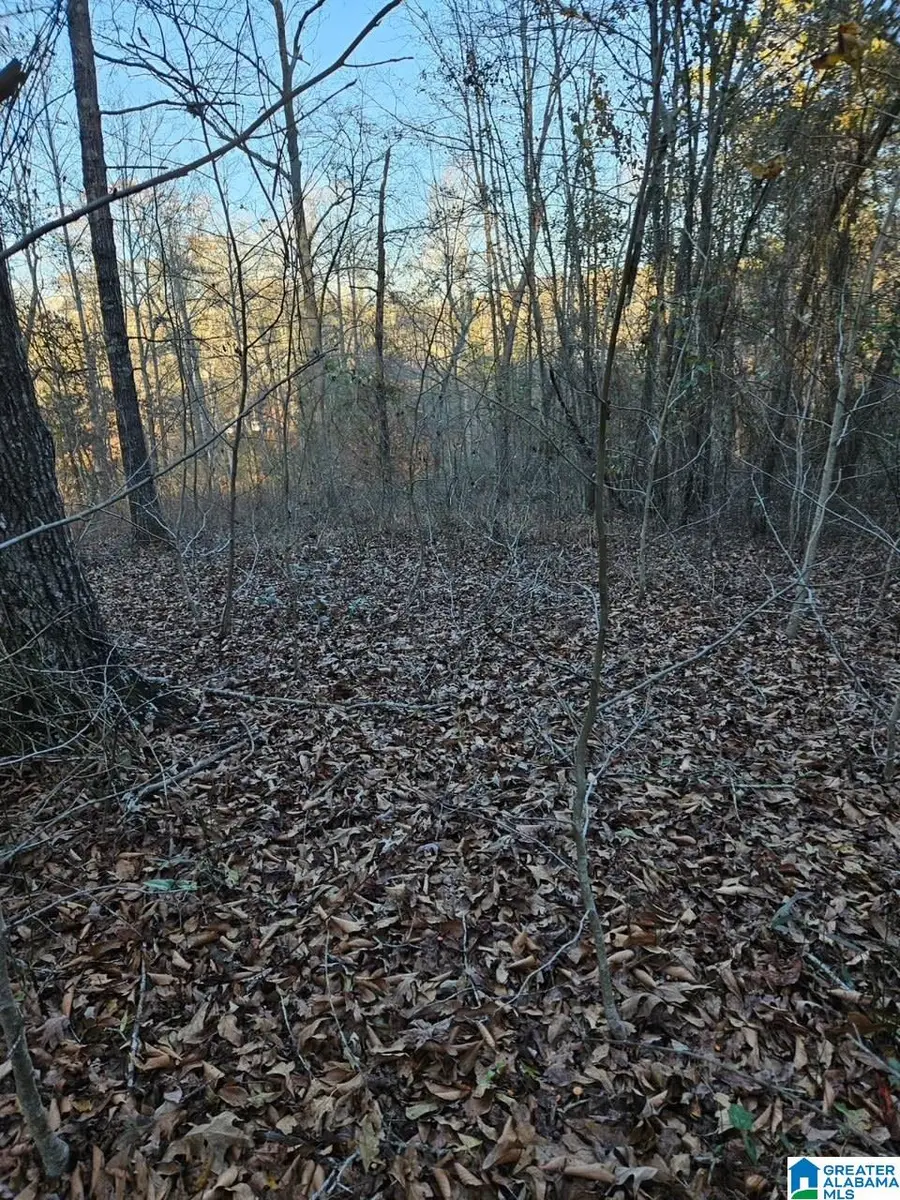 0 WARD HAVEN DRIVE, Wedowee, AL 36278 - Image #3