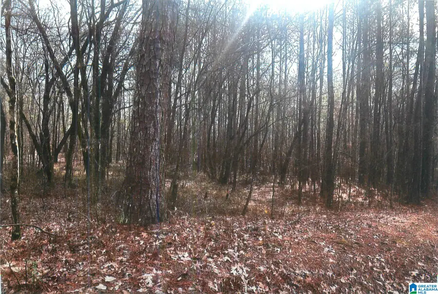 0 WALKERS CROSSING ROAD, Pell City, AL 35128 - Image #2