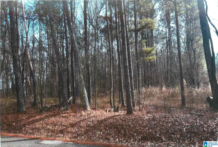 0 WALKERS CROSSING ROAD, Pell City, AL 35128 - Image #3