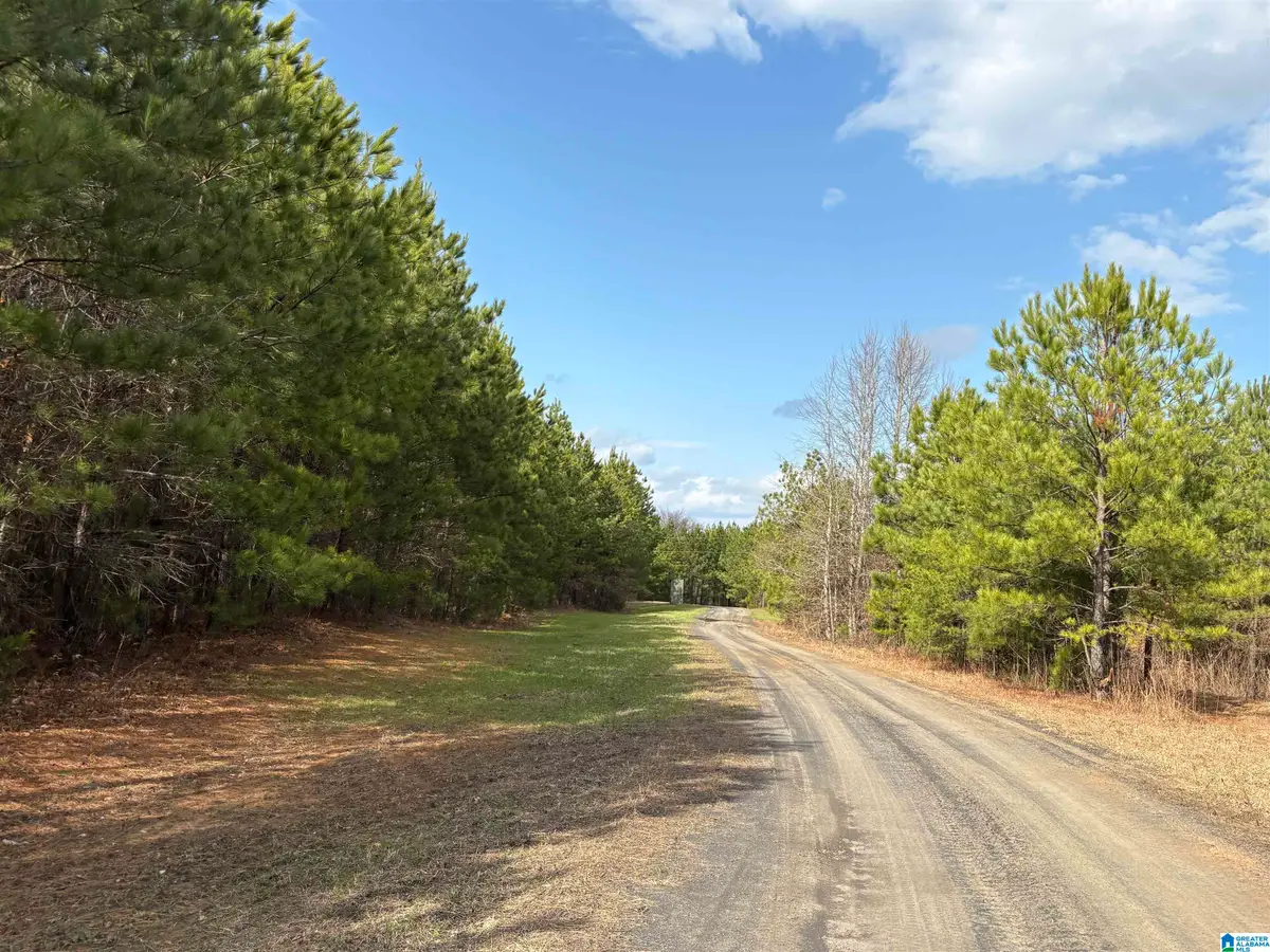 0 HIGHWAY 191, Maplesville, AL 36750 - Image #1