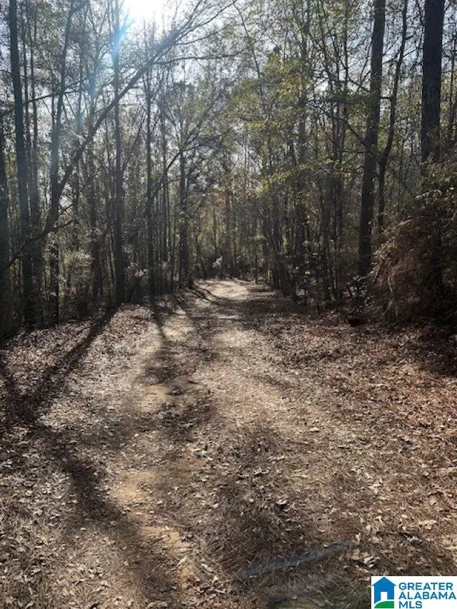 298 COUNTY ROAD 358, Clanton, AL 35045 - Image #1