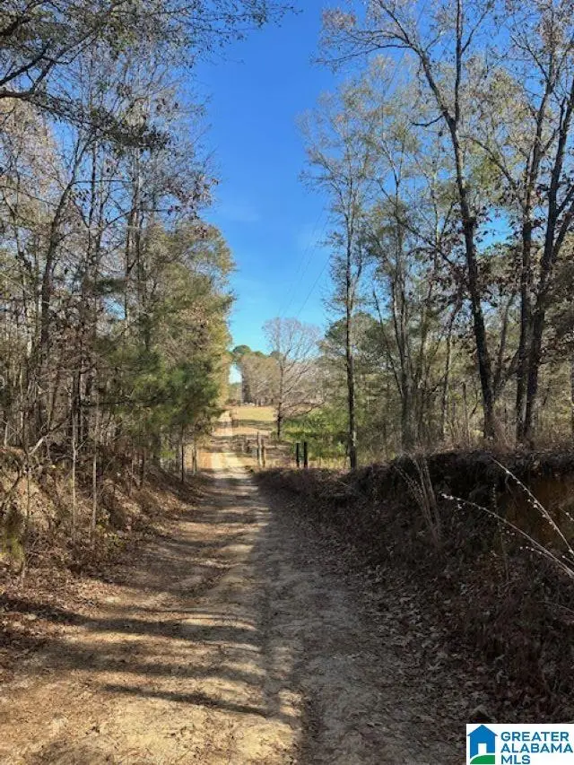 298 COUNTY ROAD 358, Clanton, AL 35045 - Image #2