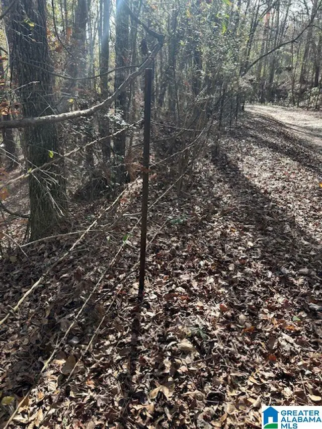 298 COUNTY ROAD 358, Clanton, AL 35045 - Image #3