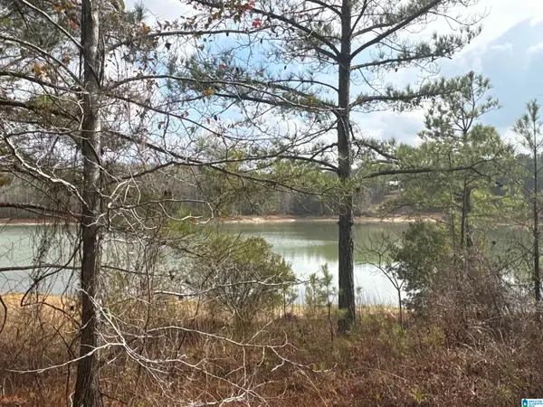 10 COUNTY ROAD 331, Maplesville, AL 36750