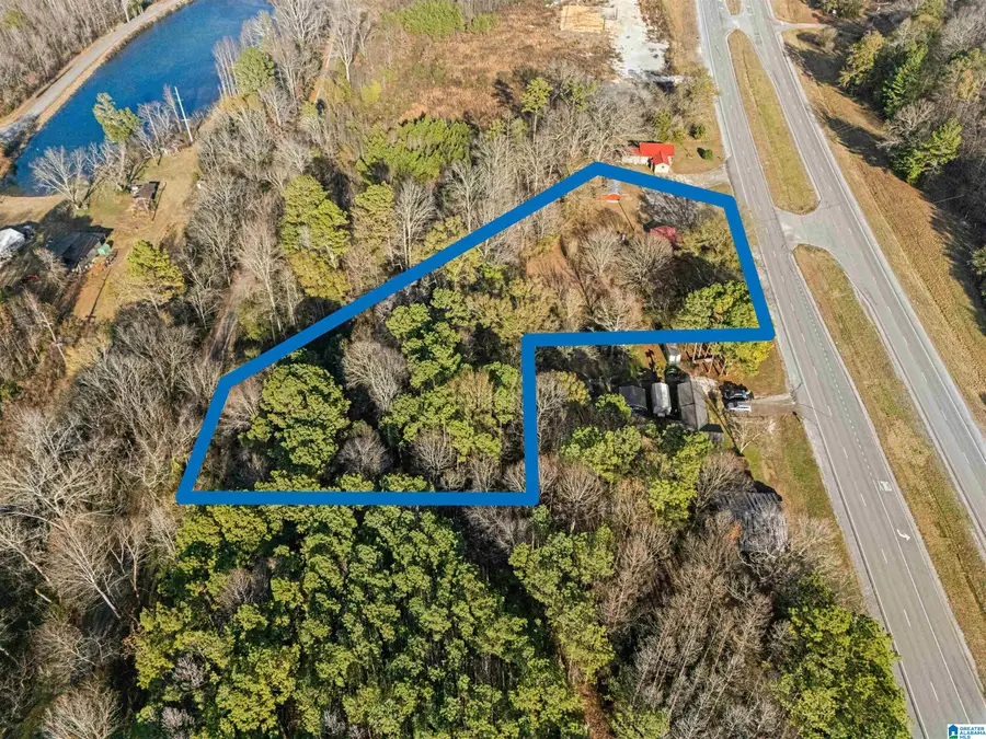 4243 N ALABAMA HIGHWAY 21, Jacksonville, AL 36265 - Image #3