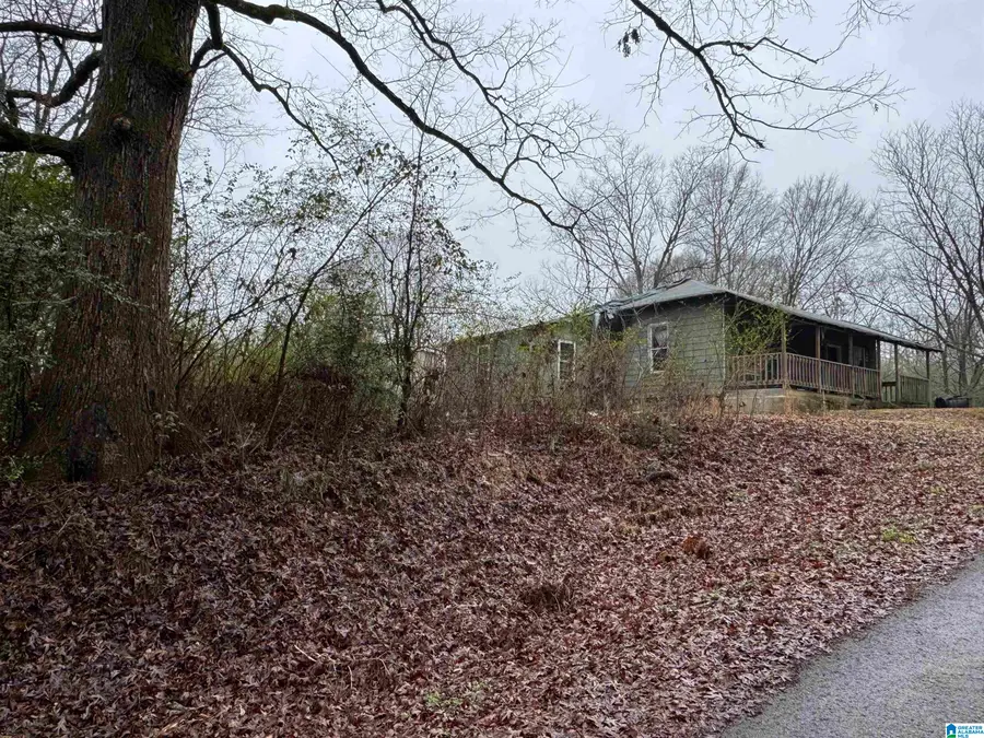 155 RAE STREET, Odenville, AL 35120 - Image #3