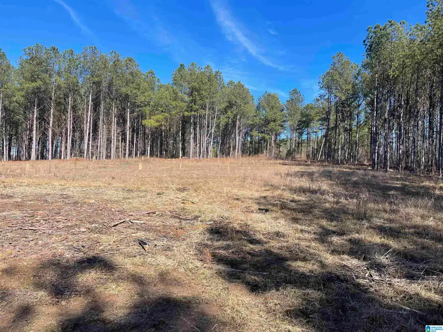 89 GOLDEN POND ROAD, Ashville, AL 35953 - Image #3