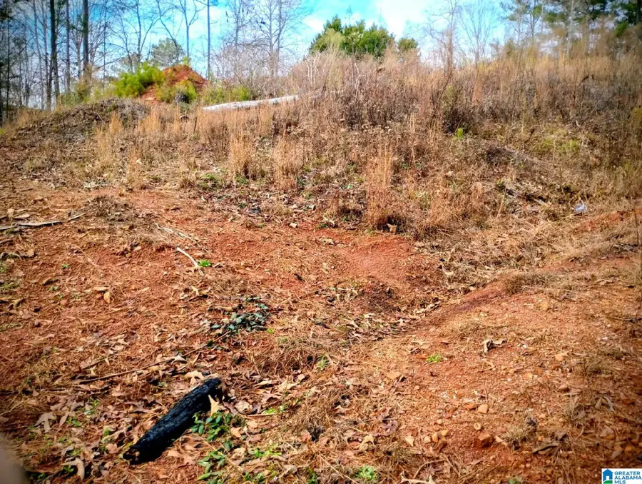 10 FOSTER CIRCLE, Lineville, AL 36266 - Image #3