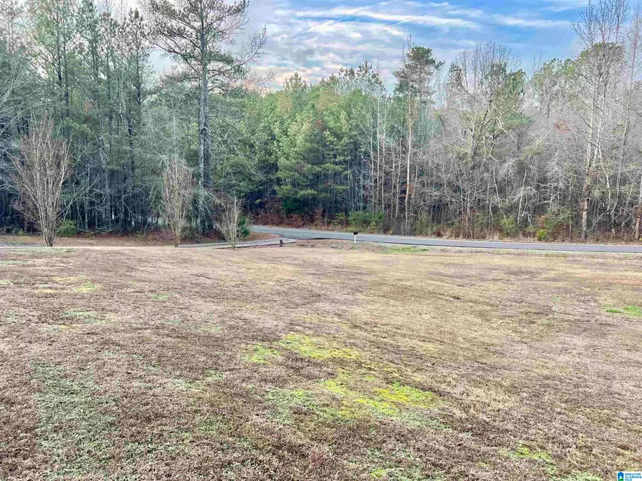 140 ARMSTRONG LOOP, Hayden, AL 35079 - Image #2