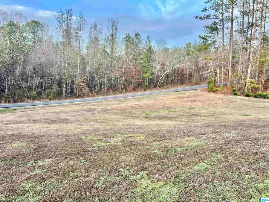 140 ARMSTRONG LOOP, Hayden, AL 35079 - Image #3