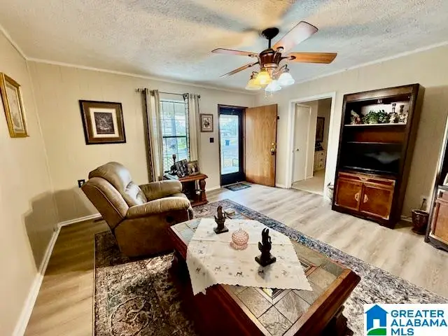 219 W LADIGA STREET, Piedmont, AL 36272 - Image #2