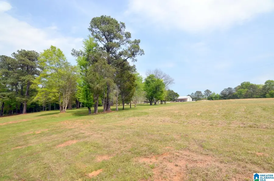 60 ROBERTSON ROAD, Wilsonville, AL 35186 - Image #2