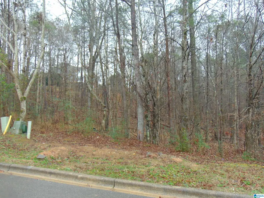 116 JEWELL CIRCLE, Birmingham, AL 35022 - Image #3